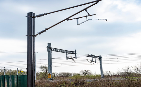 Picture of 3 cranes